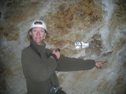 the way to the mine tag