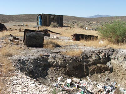 the tool shed in the background survived the fire