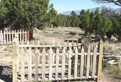 Ward cemetery